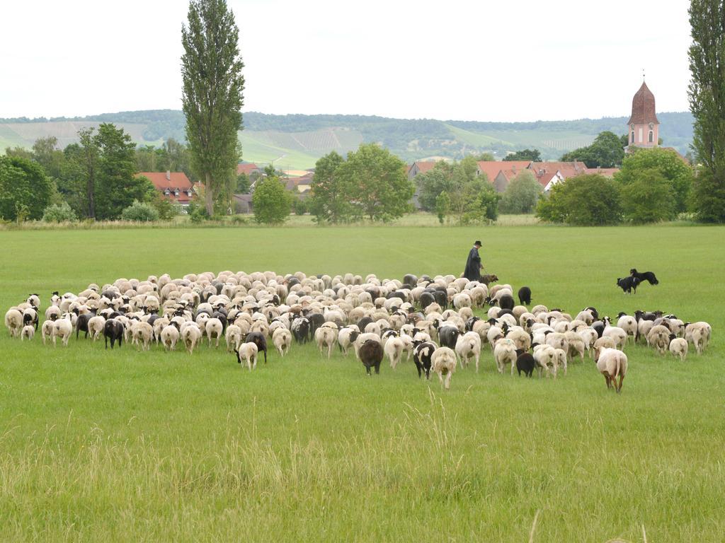 Ferienwohnungen Schuh Ipsheim Exterior photo